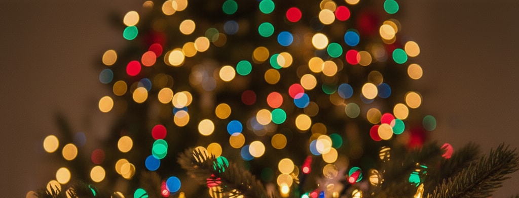 bokeh christmas lights Pittsburgh